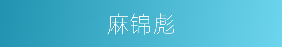 麻锦彪的同义词