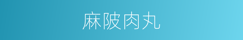 麻陂肉丸的同义词