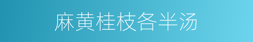 麻黄桂枝各半汤的同义词