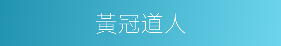 黃冠道人的同義詞