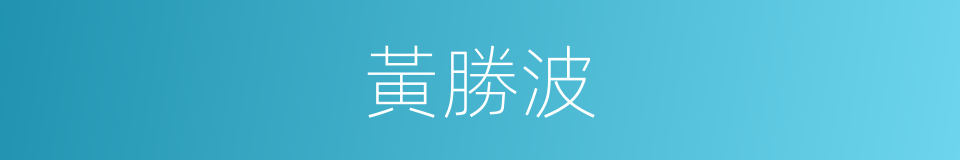 黃勝波的同義詞