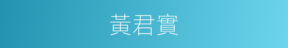 黃君實的同義詞