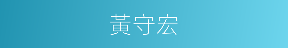 黃守宏的同義詞