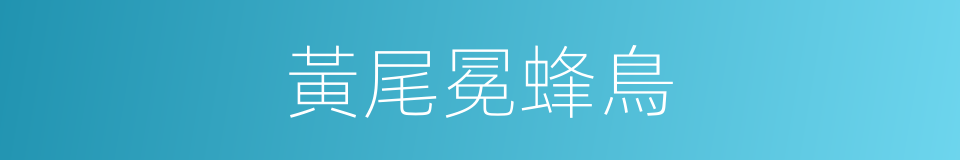 黃尾冕蜂鳥的同義詞