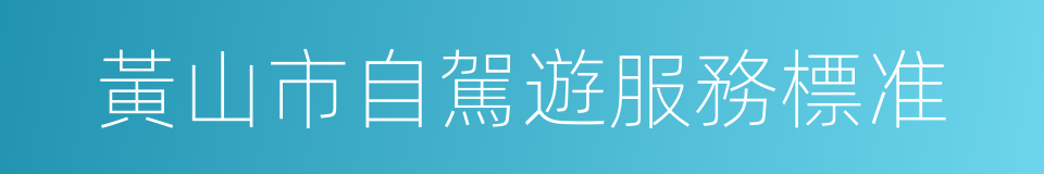 黃山市自駕遊服務標准的同義詞