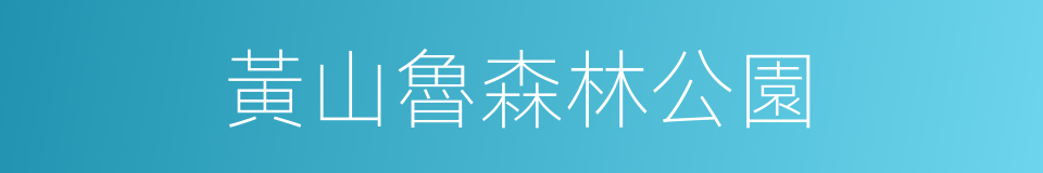 黃山魯森林公園的同義詞