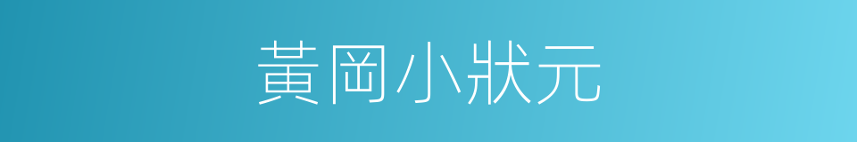 黃岡小狀元的同義詞