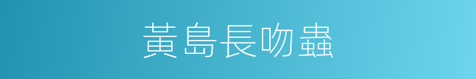 黃島長吻蟲的同義詞