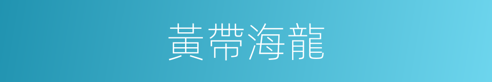 黃帶海龍的同義詞