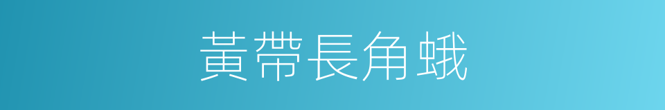 黃帶長角蛾的同義詞