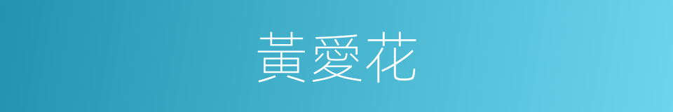 黃愛花的同義詞