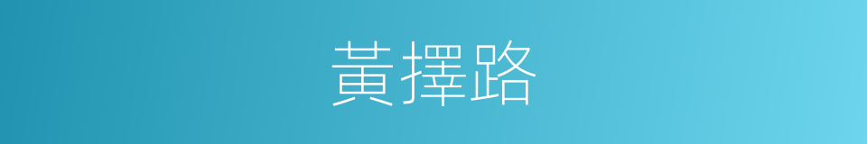 黃擇路的同義詞