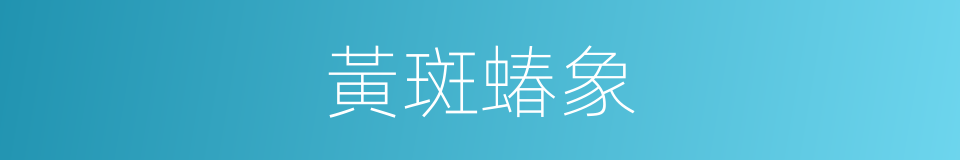 黃斑蝽象的同義詞