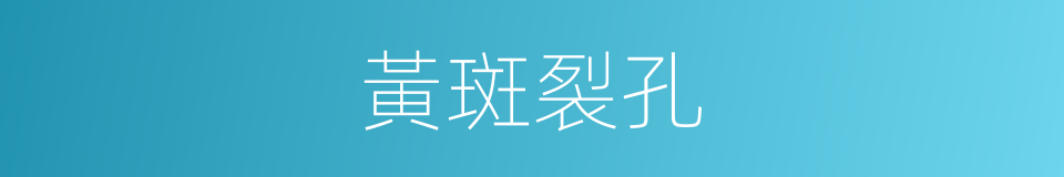 黃斑裂孔的同義詞
