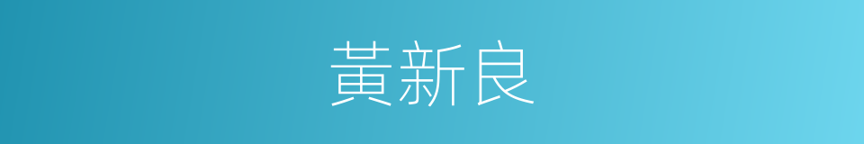 黃新良的同義詞
