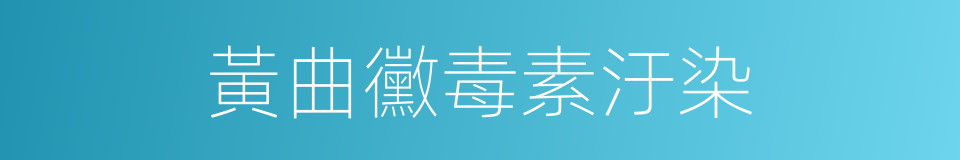 黃曲黴毒素汙染的同義詞