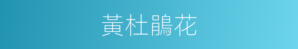 黃杜鵑花的同義詞