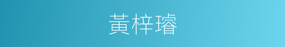黃梓璿的同義詞