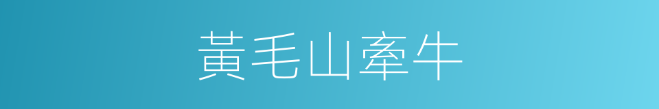 黃毛山牽牛的同義詞
