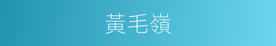 黃毛嶺的同義詞