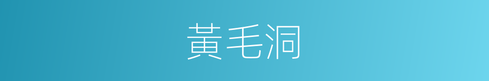 黃毛洞的同義詞