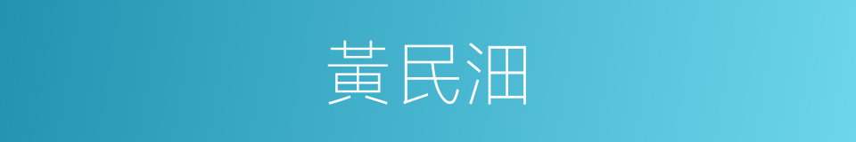 黃民沺的同義詞