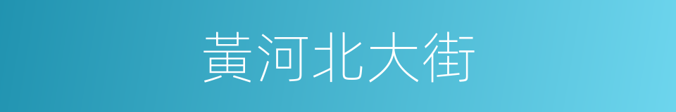 黃河北大街的同義詞