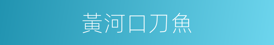 黃河口刀魚的同義詞