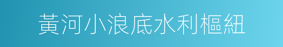 黃河小浪底水利樞紐的同義詞