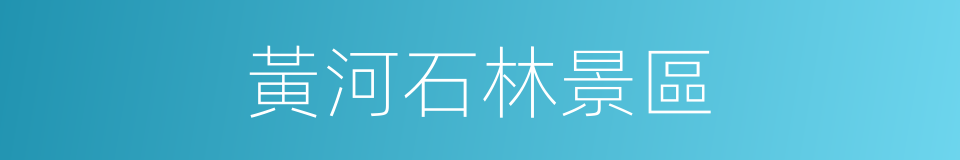 黃河石林景區的同義詞