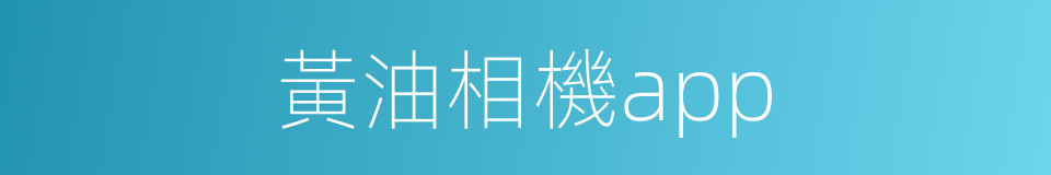 黃油相機app的同義詞
