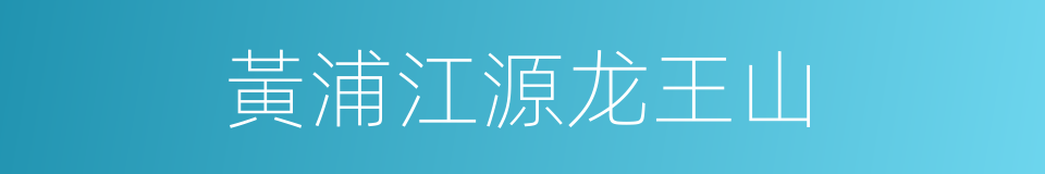 黃浦江源龙王山的同義詞