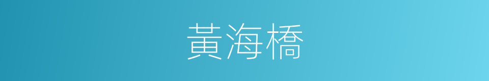 黃海橋的同義詞
