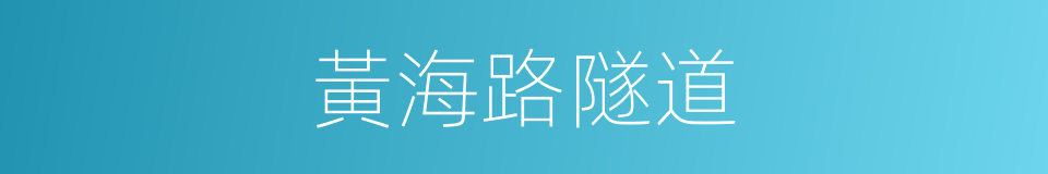 黃海路隧道的同義詞