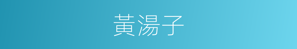 黃湯子的同義詞