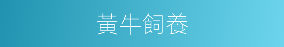 黃牛飼養的同義詞
