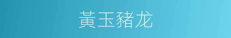 黃玉豬龙的同義詞