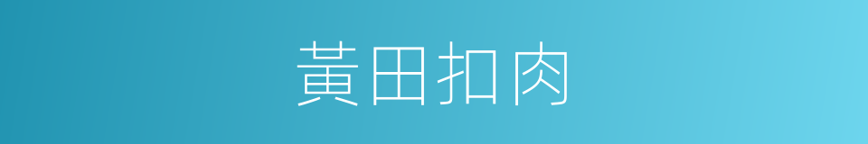 黃田扣肉的同義詞