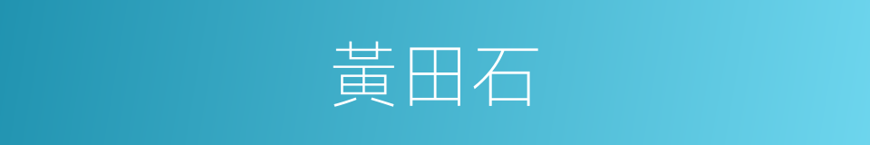 黃田石的同義詞