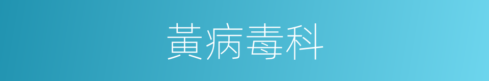 黃病毒科的同義詞