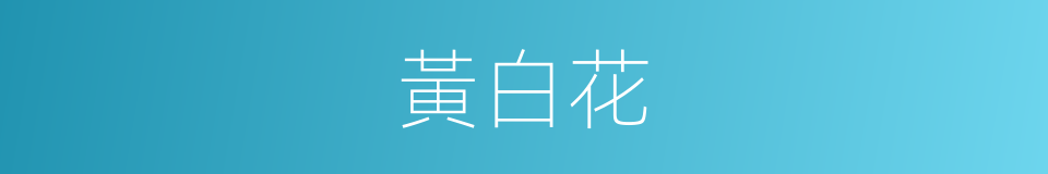 黃白花的同義詞