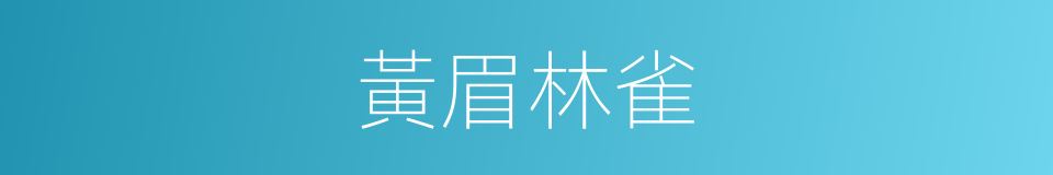 黃眉林雀的同義詞