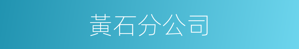 黃石分公司的同義詞