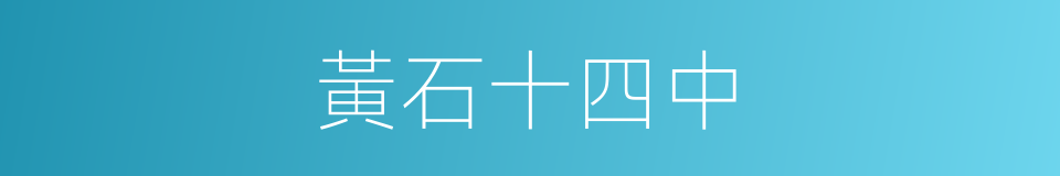黃石十四中的同義詞