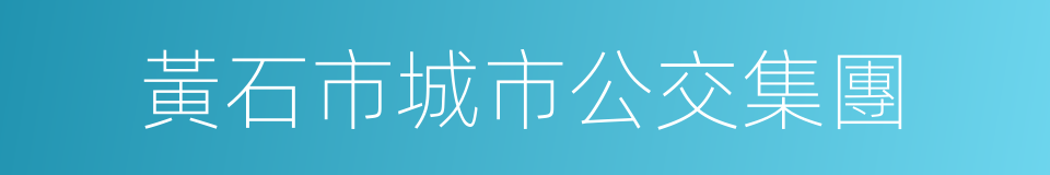 黃石市城市公交集團的同義詞