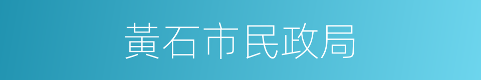 黃石市民政局的同義詞