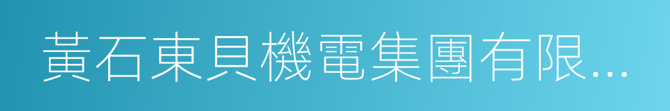 黃石東貝機電集團有限責任公司的同義詞