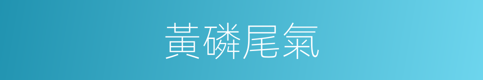 黃磷尾氣的同義詞