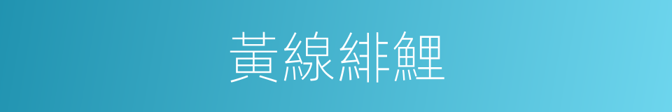 黃線緋鯉的同義詞