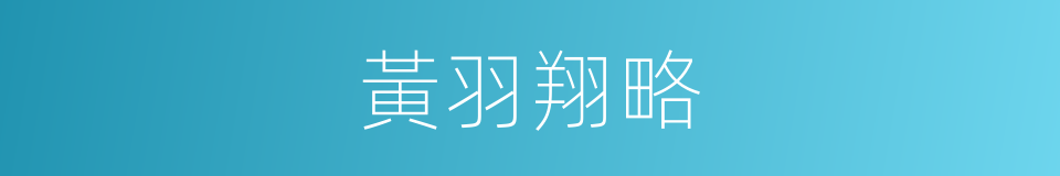 黃羽翔略的同義詞